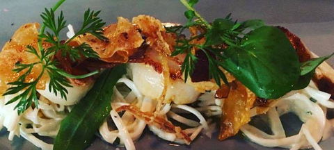 Paddock & Vine - Accommodation Adelaide 1