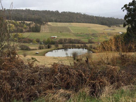 Glaziers Bay TAS Accommodation Adelaide