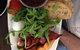 Mecca Gourmet - thumb 3
