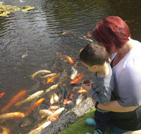 Ramon's at Willow Pond - Accommodation Adelaide