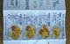 Tankk Gourmet Fish & Chips - thumb 1