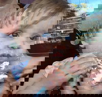 Rose's Bakery - Accommodation Adelaide