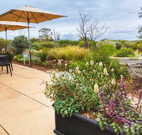 Arid Lands Botanic Garden Cafe - Accommodation Adelaide