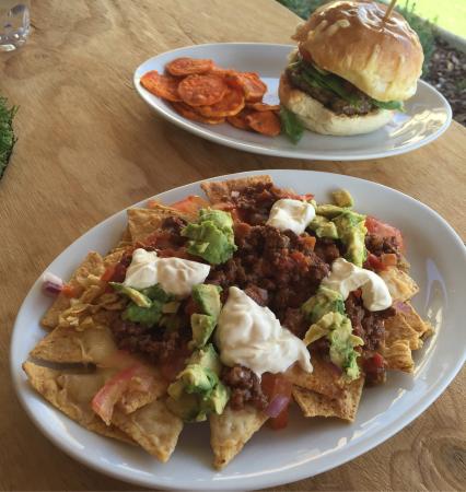 Alive And Well - Accommodation Adelaide 0