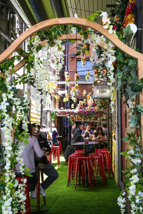 Chuckle Park Bar - Accommodation Adelaide 4