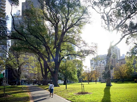 Mercure Melbourne Therry St - Accommodation Adelaide 15