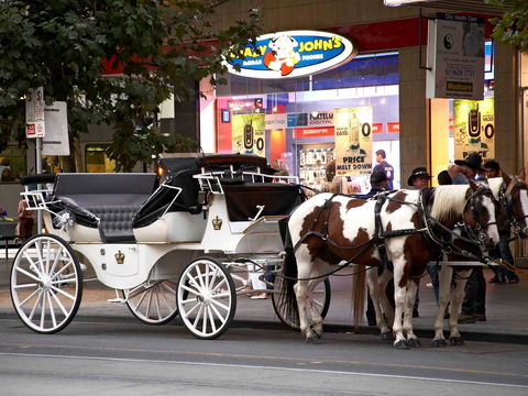 Mercure Melbourne Therry St - Accommodation Adelaide 16