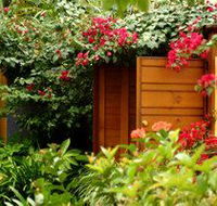 Pink Flamingo - Accommodation Adelaide