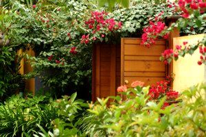 Pink Flamingo - Accommodation Adelaide 0