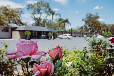 Artesian Spa Motor Inn - Accommodation Adelaide 2
