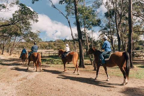 Country Club Villas - Accommodation Adelaide 0