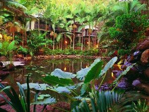 Daintree Eco Lodge & Spa - Accommodation Adelaide 0