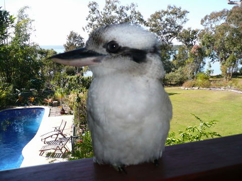 Yarrandabbi Dreaming Boutique B&B - Accommodation Adelaide 2