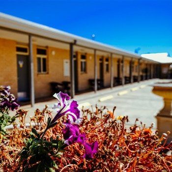 MAS Country Club Motor Inn - Accommodation Adelaide 1