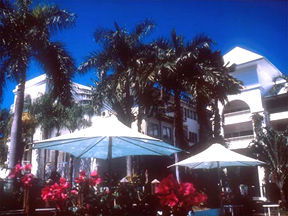 Alamanda Palm Cove - Accommodation Adelaide 1