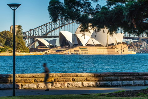 Holiday Inn Potts Point - Accommodation Adelaide 15