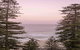 Manly Pacific Mgallery Collection - thumb 2