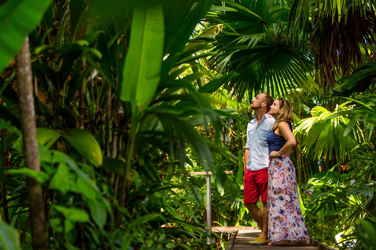 Cairns QLD Accommodation Adelaide