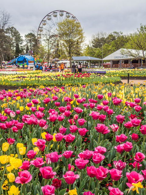 ALLARA CANBERRA - Accommodation Adelaide 15