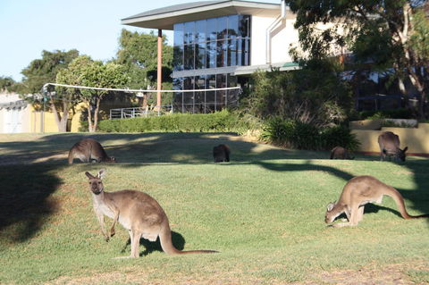 BreakFree Wirrina Cove - Accommodation Adelaide 28