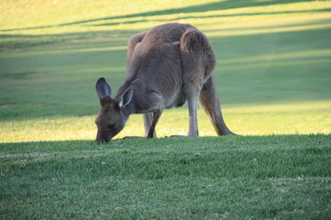 BreakFree Wirrina Cove - Accommodation Adelaide 24