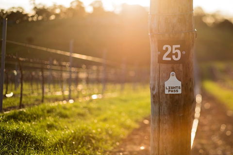 The Louise - Accommodation Adelaide 44