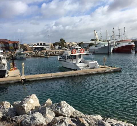 Port Lincoln Shark Apartment 1 - Accommodation Adelaide 14