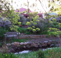 Frog Song at Willunga - Accommodation Adelaide