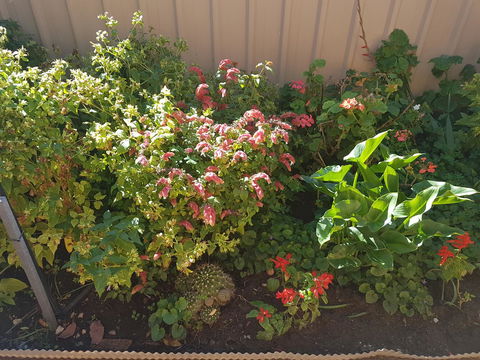 Tanunda\'s Magpie House - Accommodation Adelaide 24