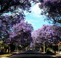 Monaco Court Apartment Adelaide - Accommodation Adelaide