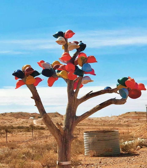 Aussie Opal Diggers Outback Retreat-Undergound - Accommodation Adelaide 29
