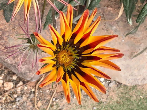 Aussie Opal Diggers Outback Retreat-Undergound - Accommodation Adelaide 26