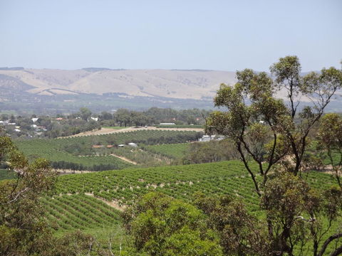 Elandra Holiday Home - Accommodation Adelaide 18