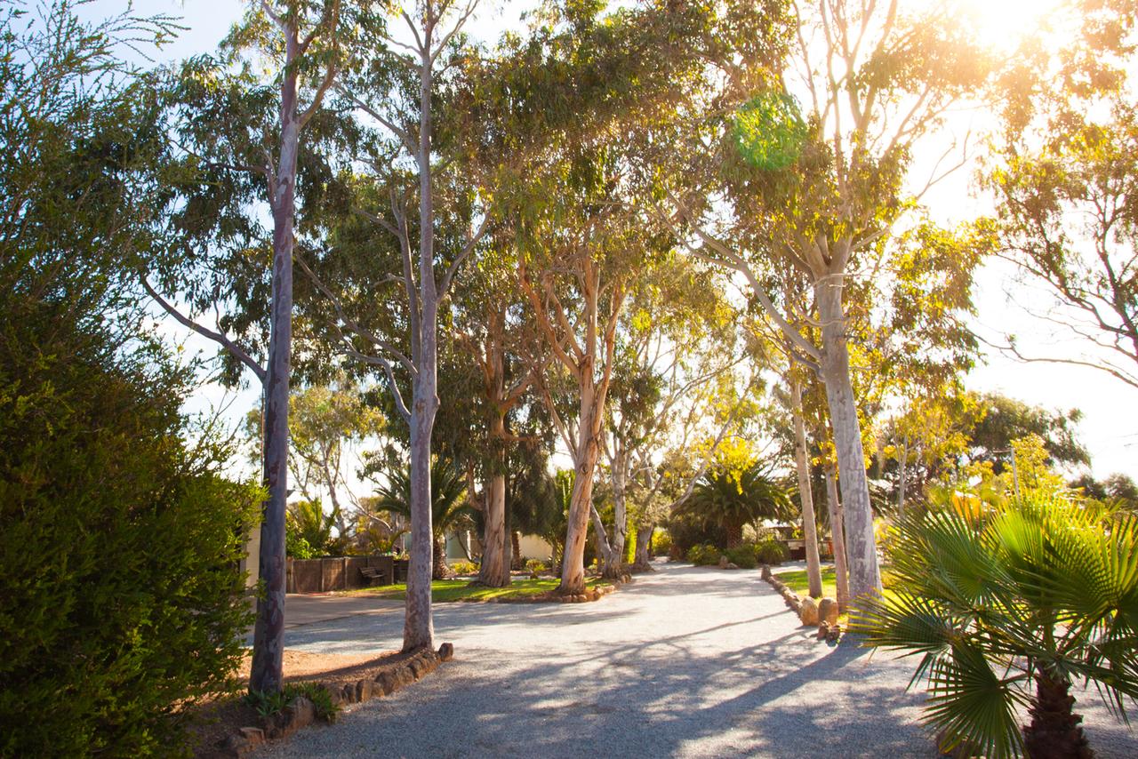 Accommodation Adelaide
