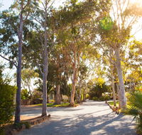Modra's Apartments - Accommodation Adelaide