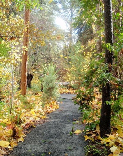 Aldgate Valley Bed And Breakfast - Accommodation Adelaide 43