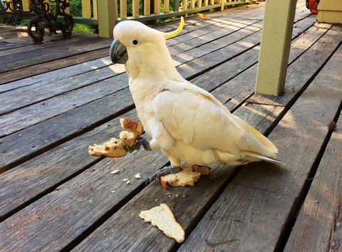 Aldgate Valley Bed And Breakfast - Accommodation Adelaide 40