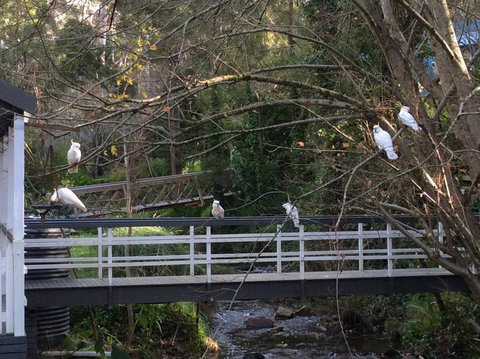 Aldgate Valley Bed And Breakfast - Accommodation Adelaide 41