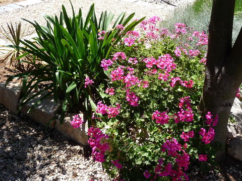 Country Bakehouse Accommodation - Accommodation Adelaide 18