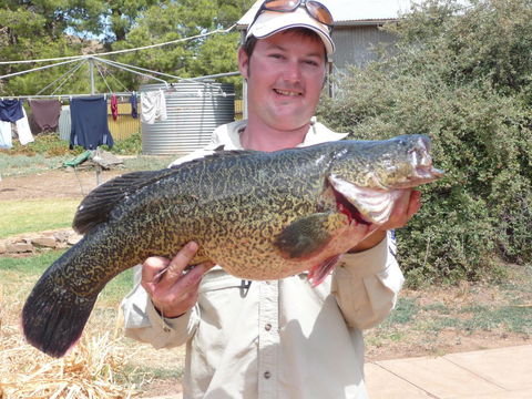 Country Bakehouse Accommodation - Accommodation Adelaide 20