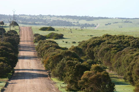 Almonta Park Lodge - Accommodation Adelaide 1