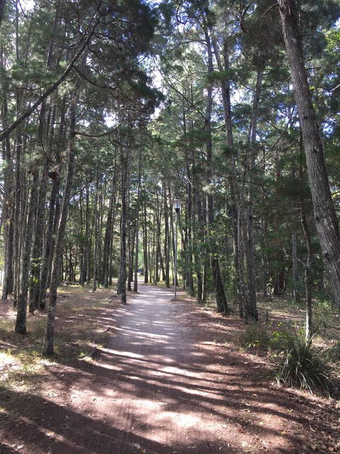 Brunswick Heads Treetop Studio - Accommodation Adelaide 8