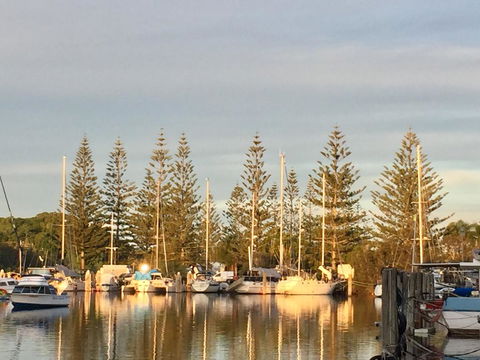 Brunswick Heads Treetop Studio - Accommodation Adelaide 24