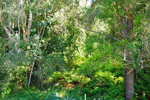 Brunswick Heads Treetop Studio - Accommodation Adelaide 20