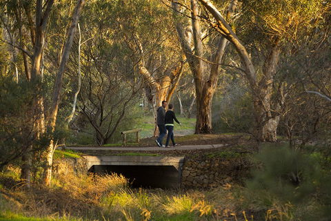 BIG 4 Barossa Tourist Park - Accommodation Adelaide 26