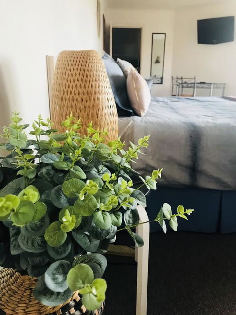 Barossa Valley Studio - Accommodation Adelaide 12