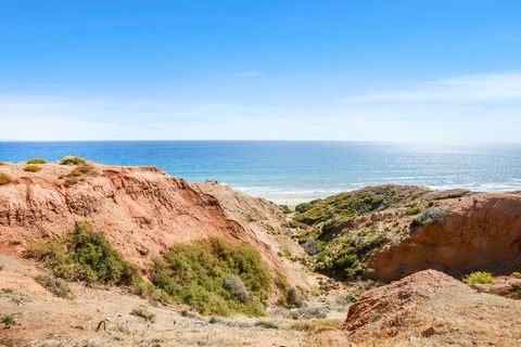 Salomon Sea Haus - Sellicks Beach - C21 SouthCoast Holidays - Accommodation Adelaide 1