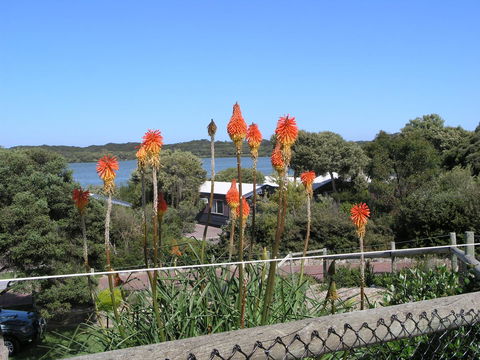 Lakeside Tourist Park - Accommodation Adelaide 3