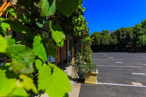 Country Roads Motor Inn Naracoorte - Accommodation Adelaide 16