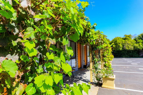 Country Roads Motor Inn Naracoorte - Accommodation Adelaide 18